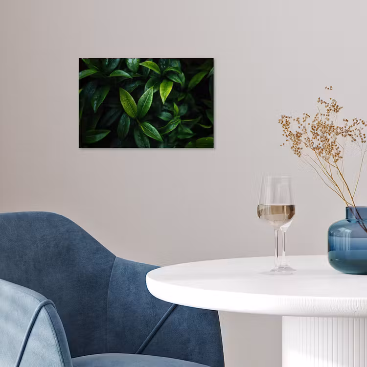 Poster – Bladeren - Regendruppels - Licht - Groen — 4