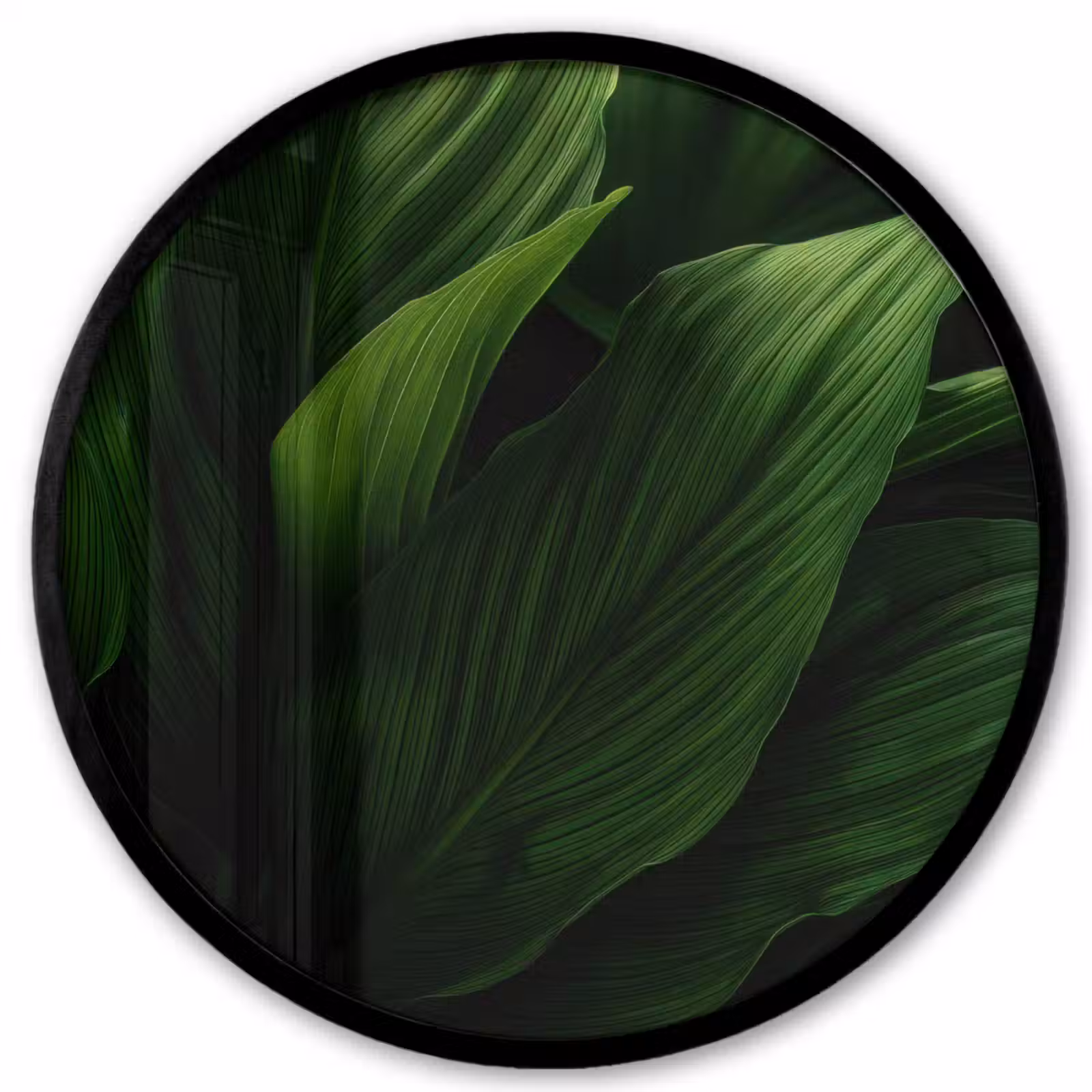 Ronde fotolijst - Bladeren - Schaduw - Groen - Textuur — 1