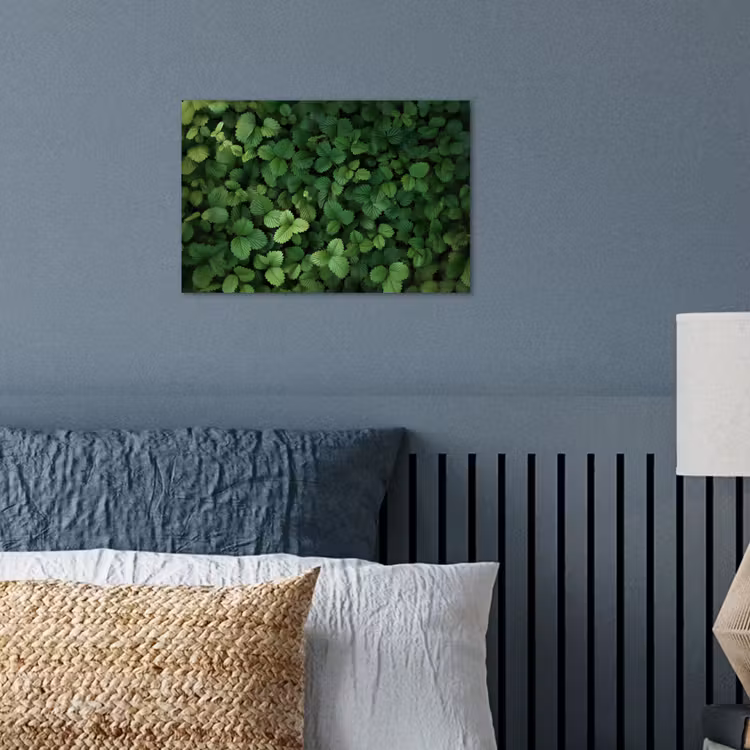 Poster – Groen - Bladeren - Kartel - Zonlicht — 3