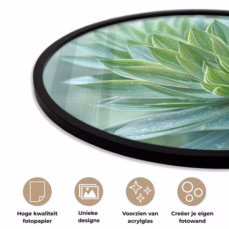 Ronde fotolijst - Blad - Plant - Groen - Textuur — 2