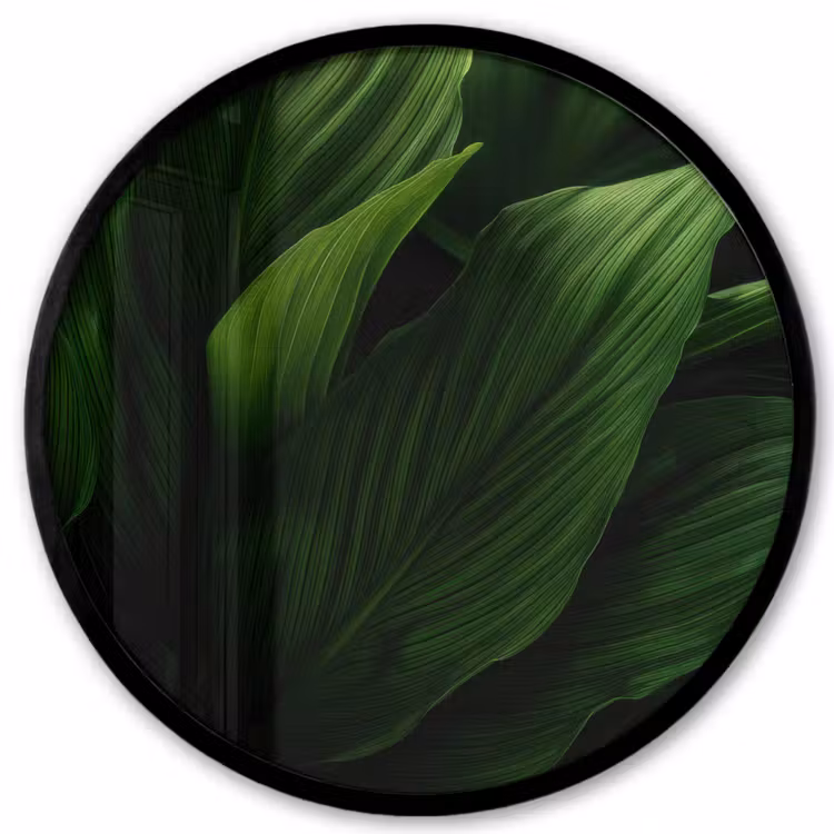 Ronde fotolijst - Bladeren - Schaduw - Groen - Textuur — 1
