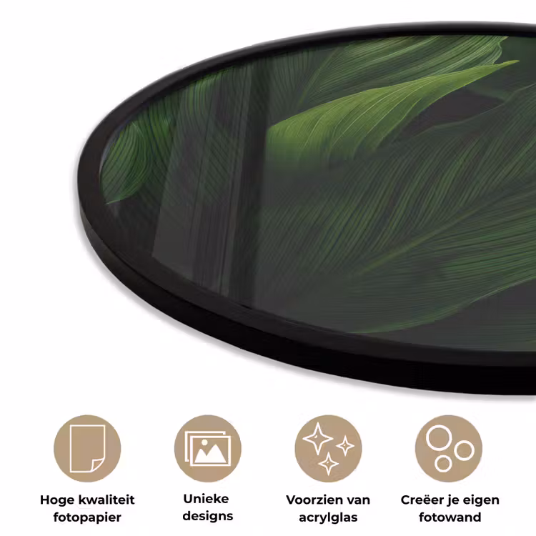 Ronde fotolijst - Bladeren - Schaduw - Groen - Textuur — 2