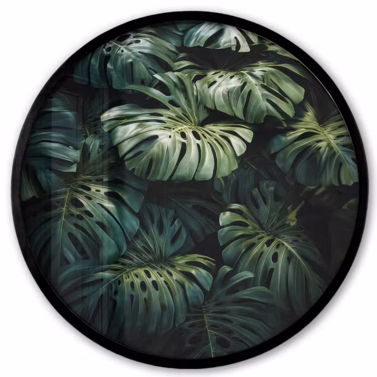 Ronde fotolijst - Plant - Monstera - Lichtinval — 1