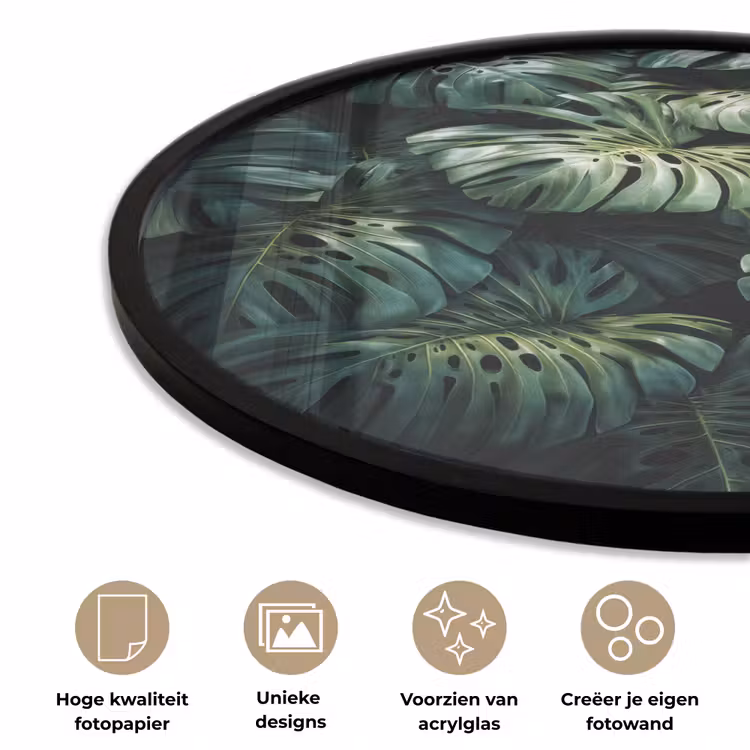 Ronde fotolijst - Plant - Monstera - Lichtinval — 2