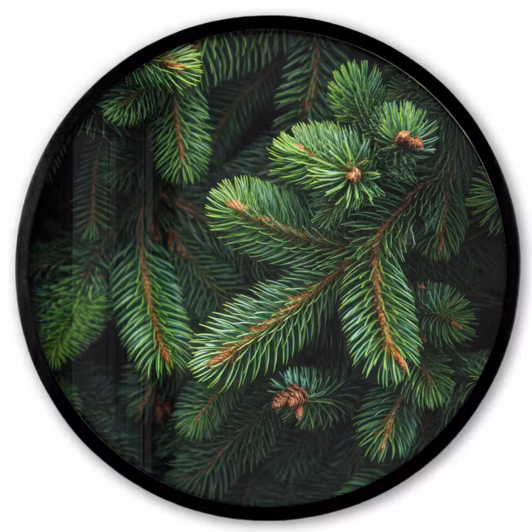 Ronde fotolijst - Sparrentakken - Knoppen - Naalden - Groen — 1