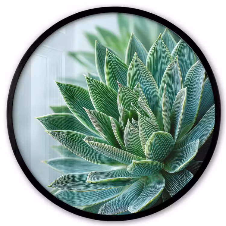 Ronde fotolijst - Vetplant - Bladeren - Groen - Wazig — 1