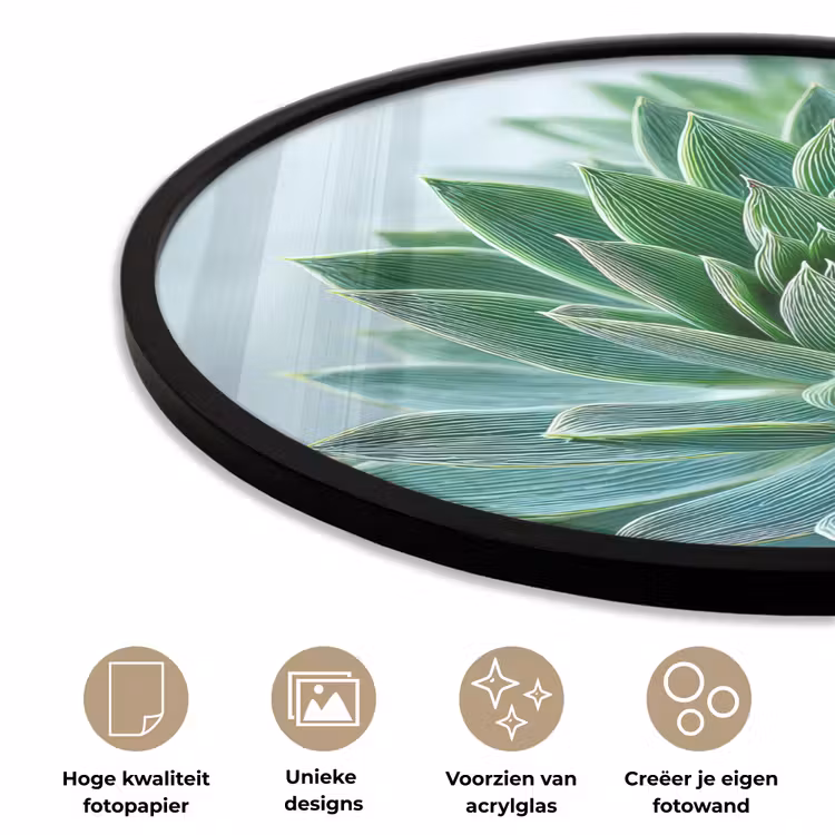 Ronde fotolijst - Vetplant - Bladeren - Groen - Wazig — 2
