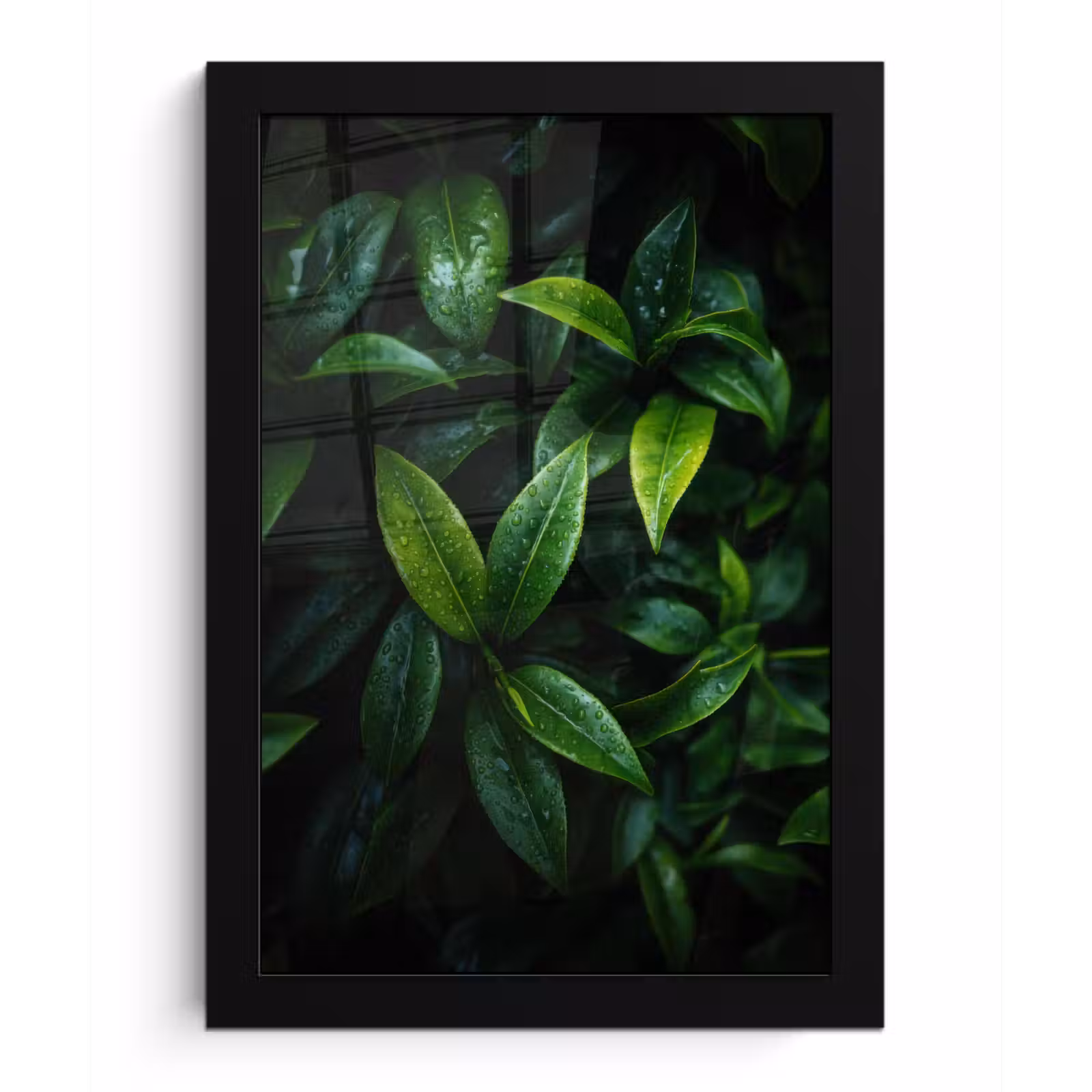 Poster met lijst - Bladeren - Regendruppels - Licht - Groen — 1