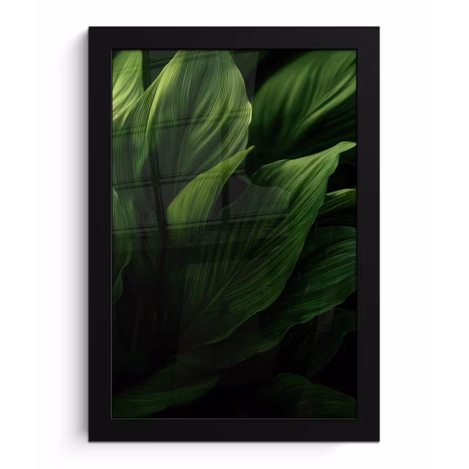Poster met lijst - Bladeren - Schaduw - Groen - Textuur — 1