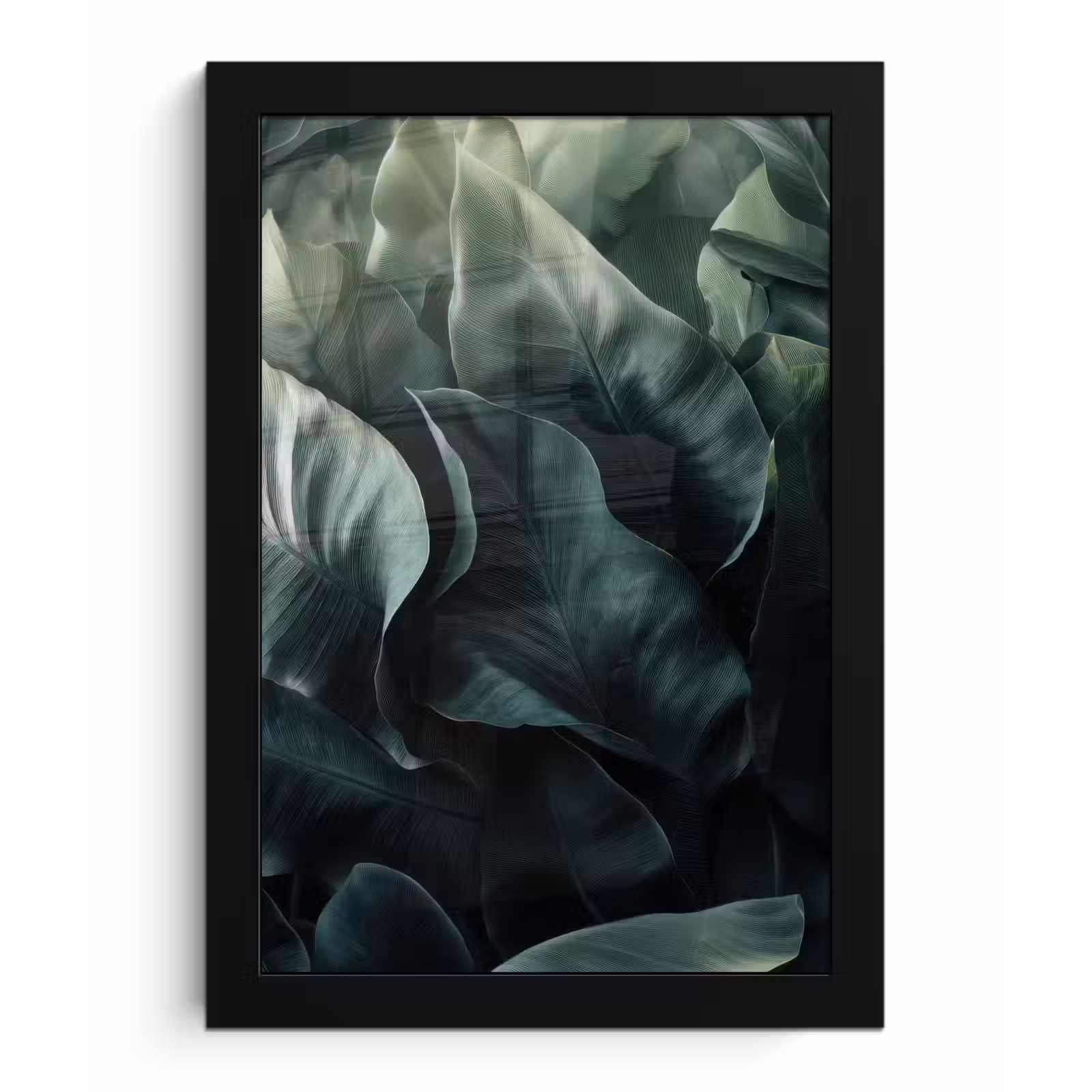 Poster met lijst - Groen - Bladeren - Glad - Nerven — 1