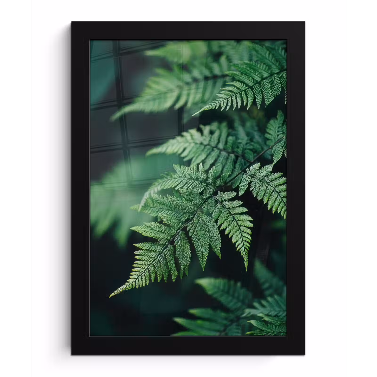 Poster met lijst - Varenblad - Groen - Structuur - Wazig — 1