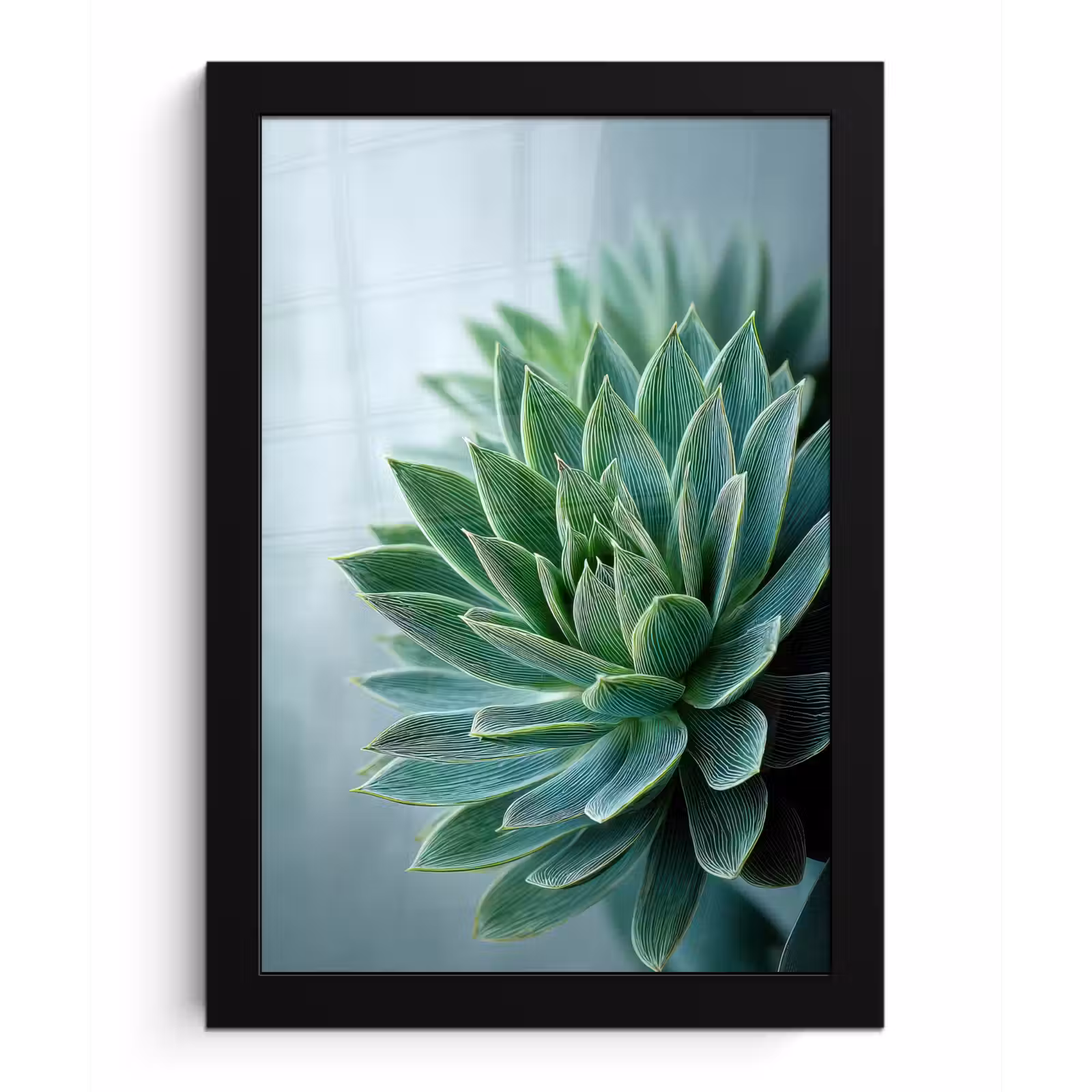 Poster met lijst - Vetplant - Bladeren - Groen - Wazig — 1