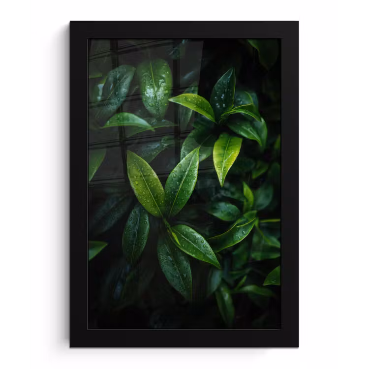 Poster met lijst - Bladeren - Regendruppels - Licht - Groen — 1