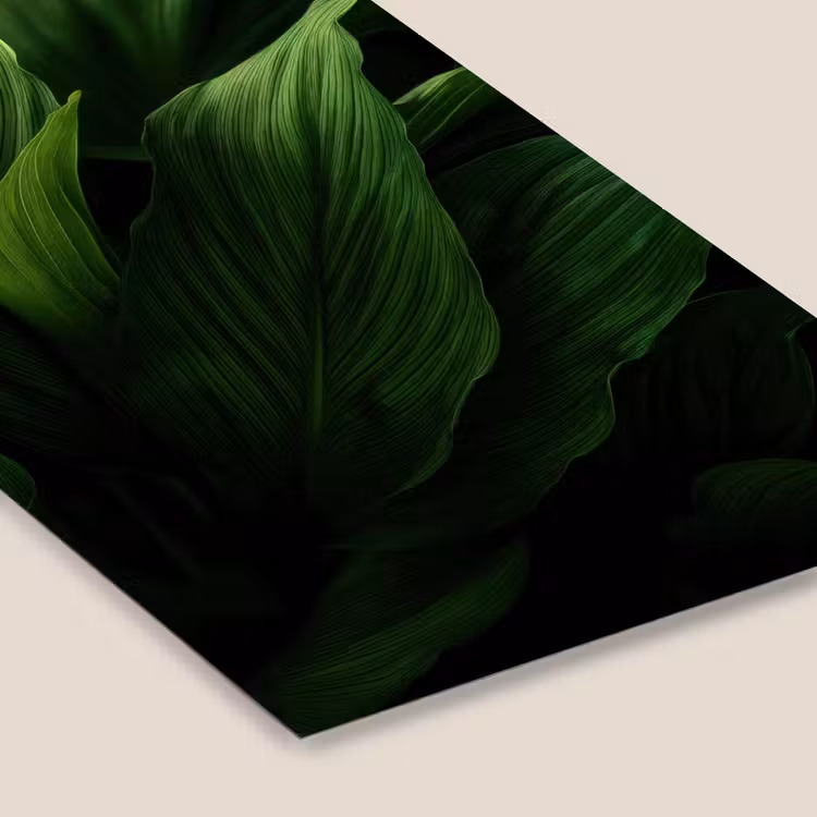 Poster met lijst - Bladeren - Schaduw - Groen - Textuur — 7