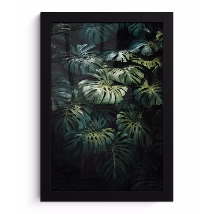 Poster met lijst - Plant - Monstera - Lichtinval — 1