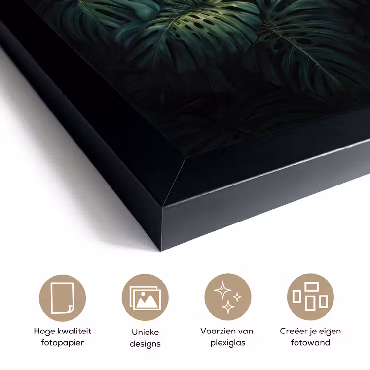 Poster met lijst - Plant - Monstera - Lichtinval — 6