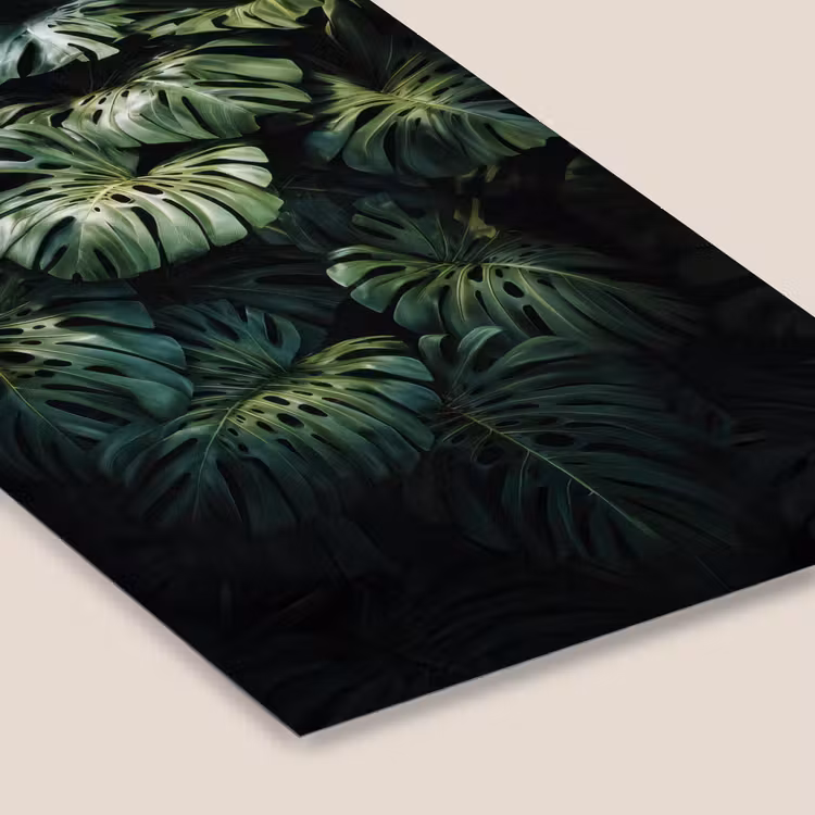 Poster met lijst - Plant - Monstera - Lichtinval — 7