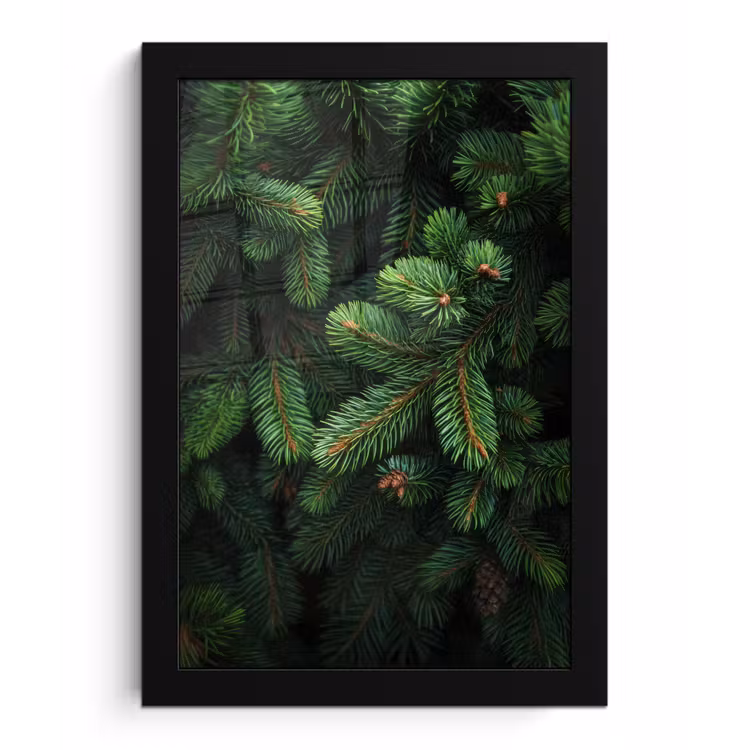 Poster met lijst - Sparrentakken - Knoppen - Naalden - Groen — 1