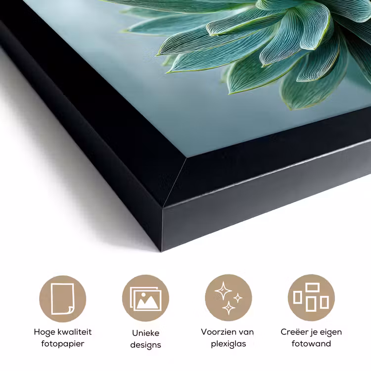 Poster met lijst - Vetplant - Bladeren - Groen - Wazig — 6