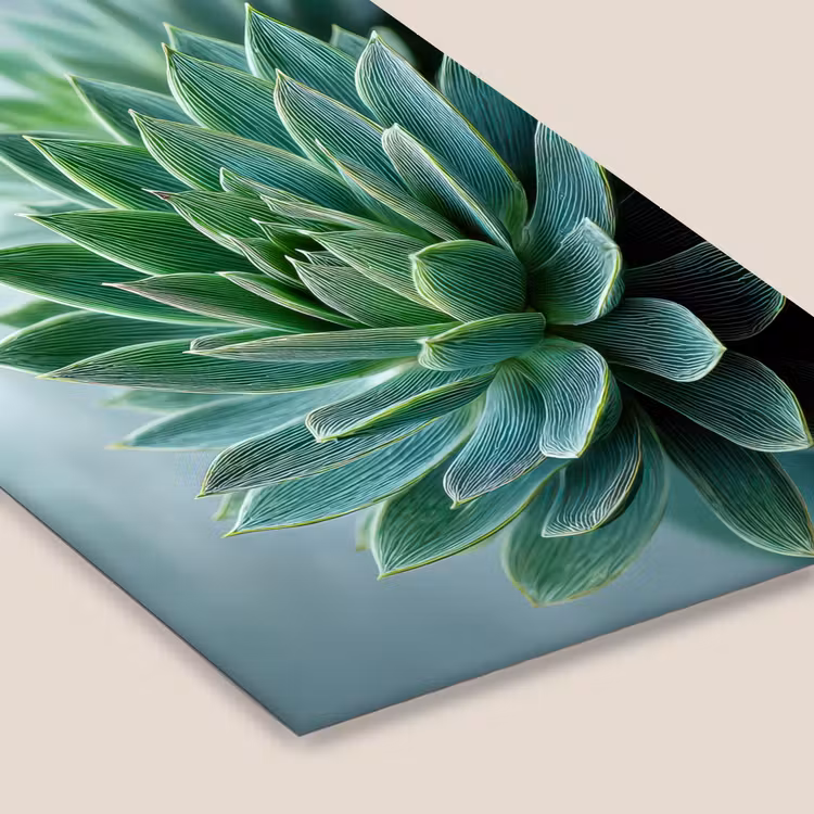Poster met lijst - Vetplant - Bladeren - Groen - Wazig — 7