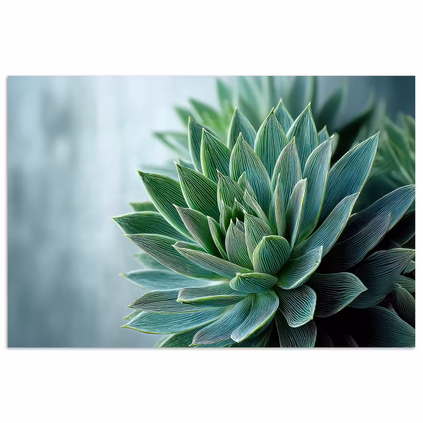Poster – Vetplant - Bladeren - Groen - Wazig — 1