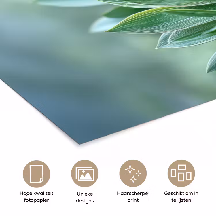 Poster – Blad - Plant - Groen - Textuur — 5
