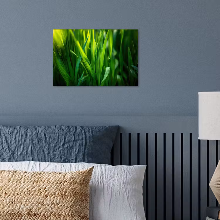 Poster – Grassprieten - Lichtinval - Groen — 3