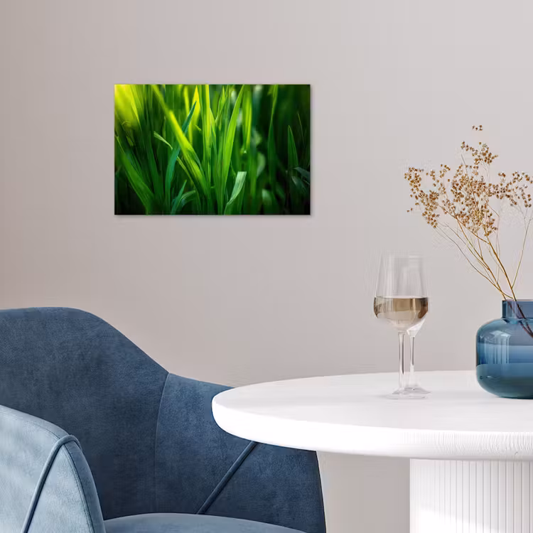 Poster – Grassprieten - Lichtinval - Groen — 4