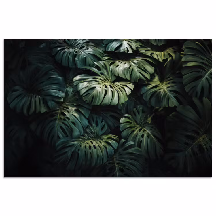 Poster – Plant - Monstera - Lichtinval — 1