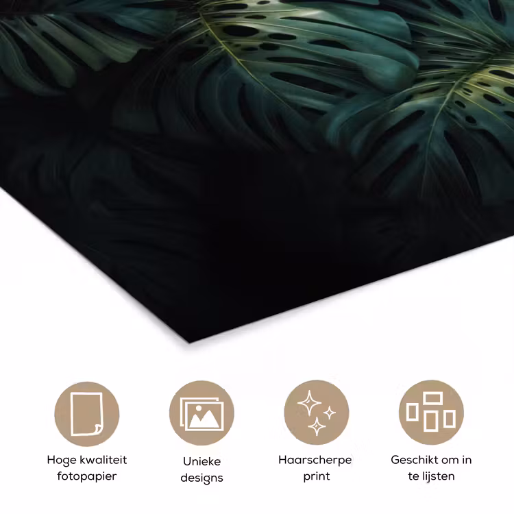 Poster – Plant - Monstera - Lichtinval — 5