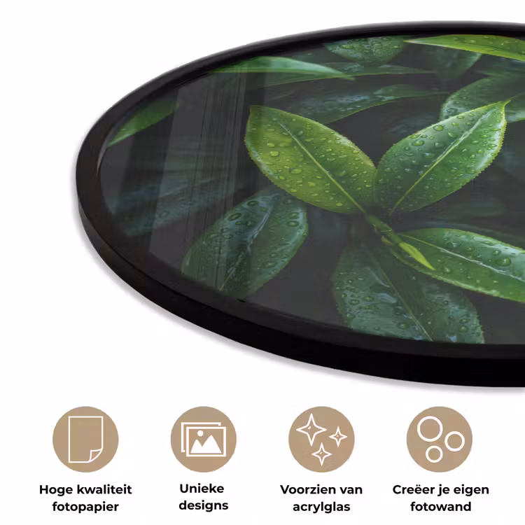 Ronde fotolijst - Bladeren - Regendruppels - Licht - Groen — 2