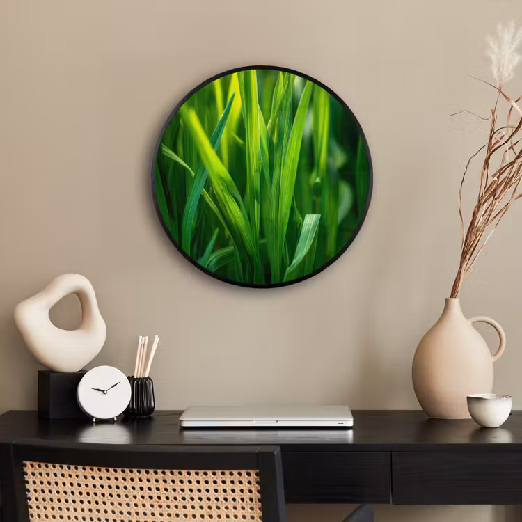 Ronde fotolijst - Grassprieten - Lichtinval - Groen — 3