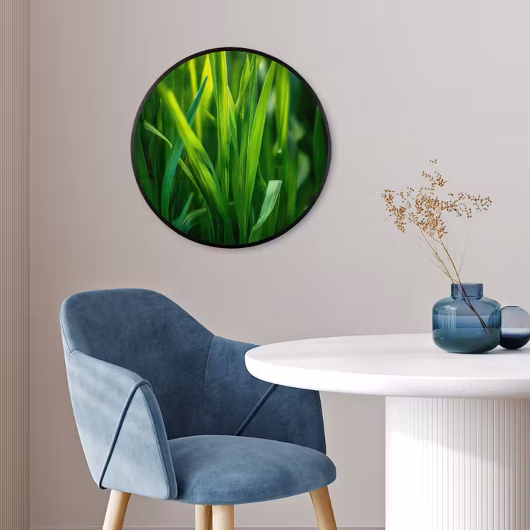 Ronde fotolijst - Grassprieten - Lichtinval - Groen — 4