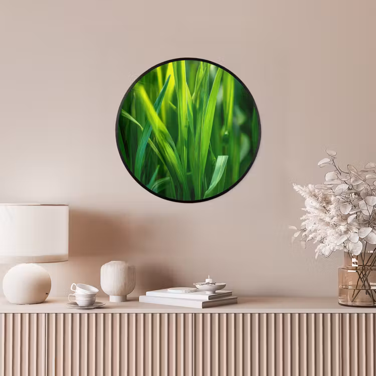 Ronde fotolijst - Grassprieten - Lichtinval - Groen — 5