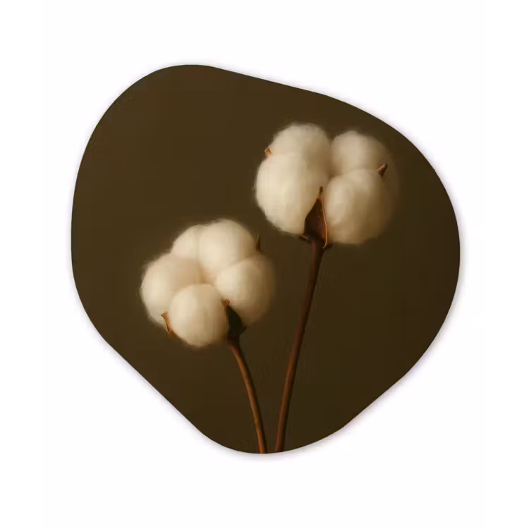 Organisch schilderij - Glas - Takken - Katoen - Wit - Bollen — 1