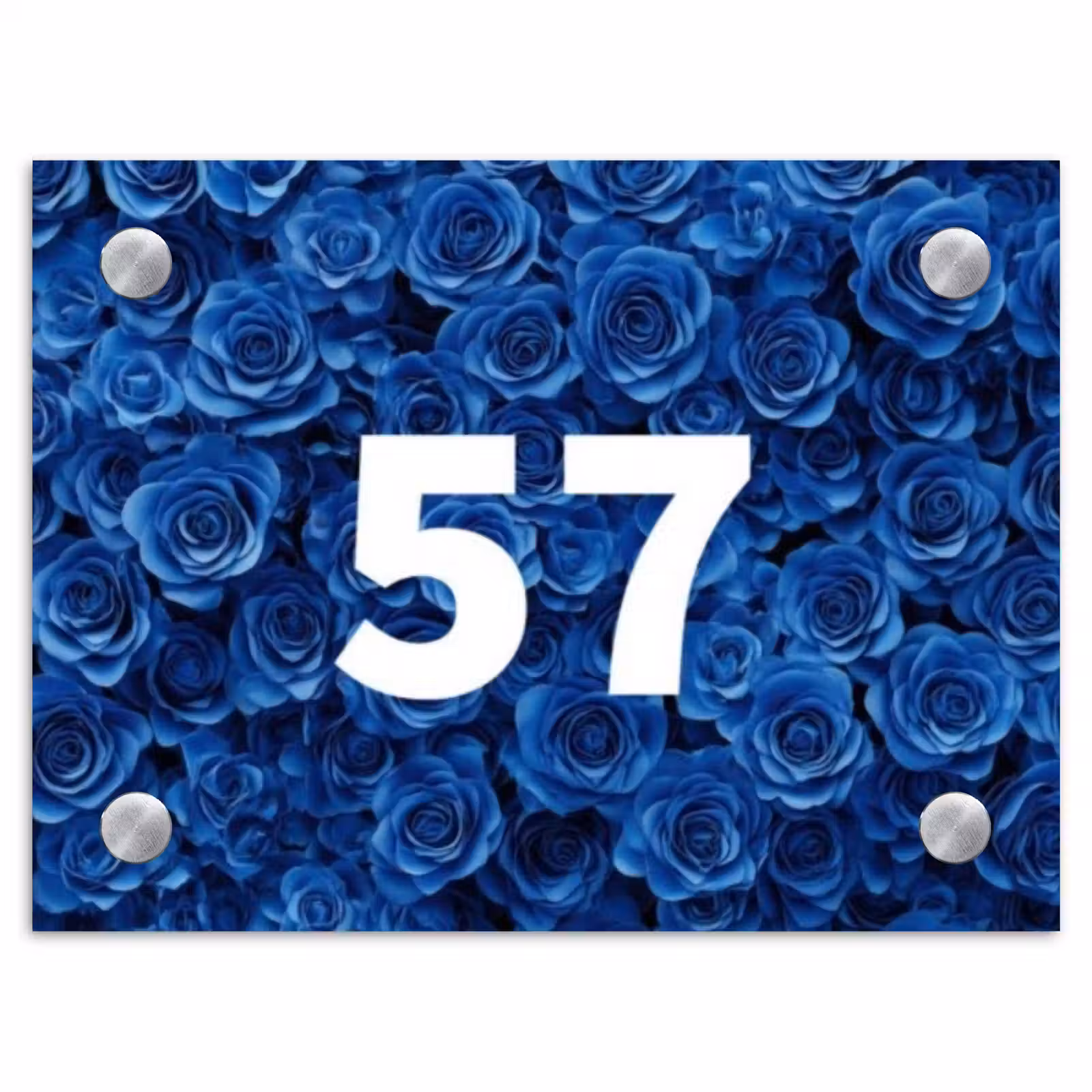 Naambordje voordeur - Rechthoek - Blauwe rozen - Traditioneel — 1