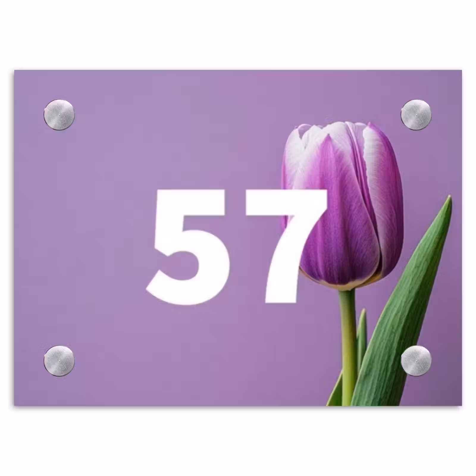 Naambordje voordeur - Rechthoek - Paarse tulp - Traditioneel — 1