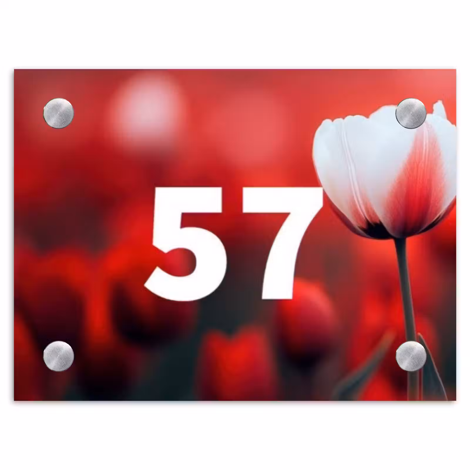 Naambordje voordeur - Rechthoek - Rode tulpen - Traditioneel — 1