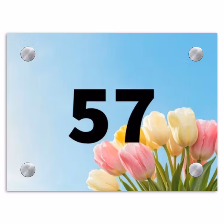 Naambordje voordeur - Rechthoek - Gekleurde tulpen lucht - Traditioneel — 1