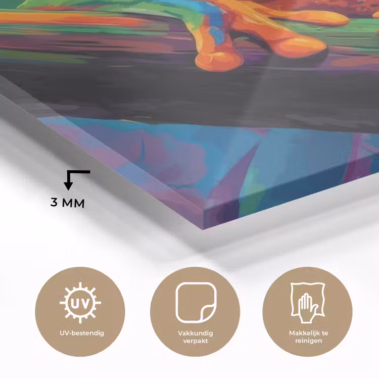 Glas schilderij - Kikker - Felgekleurd - Tak - Regenboog — 3