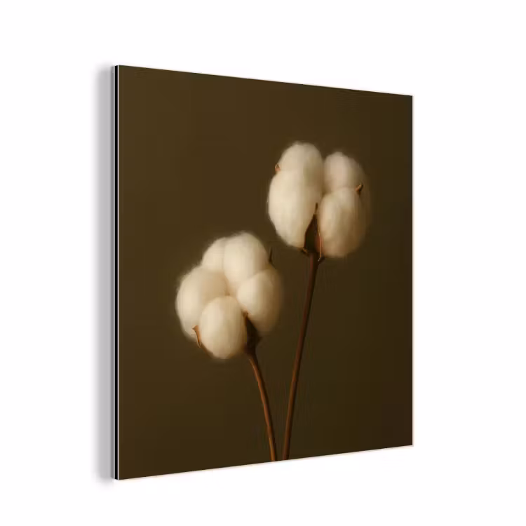 Aluminium schilderij - Katoentakjes Olijfgroen