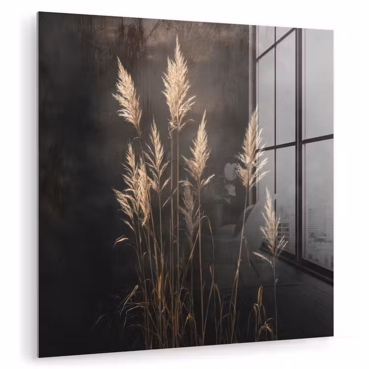 Glas schilderij - Siergras - Pluimen - Verlichting - Zwart — 1