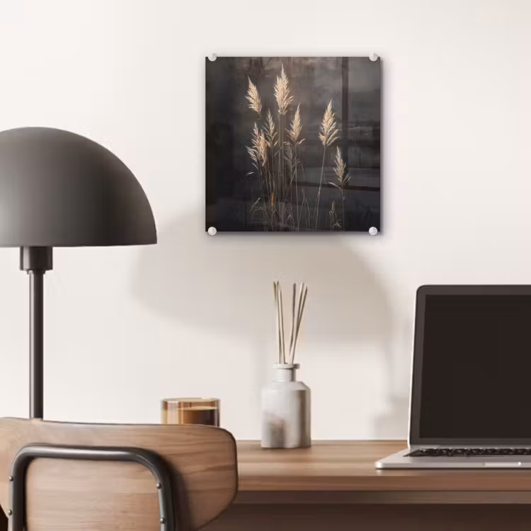 Glas schilderij - Siergras - Pluimen - Verlichting - Zwart — 7