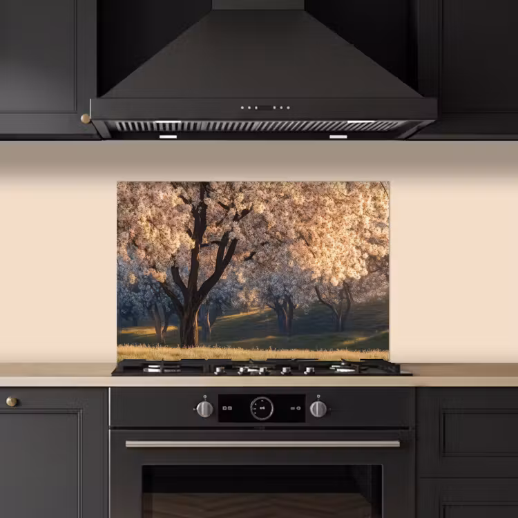 Spatscherm keuken - Bomen - Bloesem - Lente — 1
