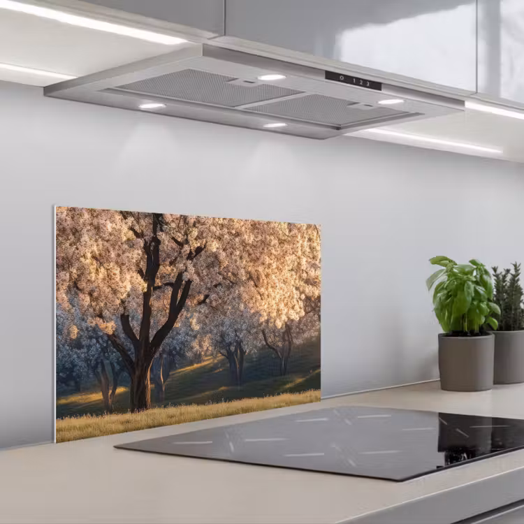 Spatscherm keuken - Bomen - Bloesem - Lente — 4