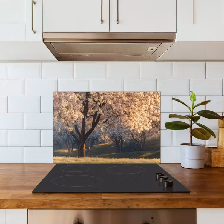 Spatscherm keuken - Bomen - Bloesem - Lente — 5