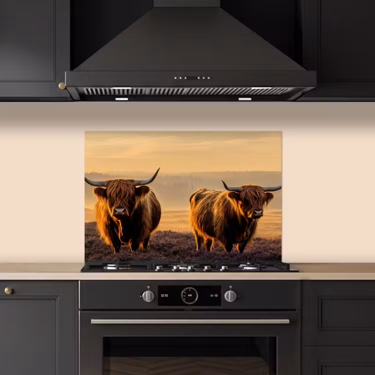 Spatscherm keuken - Schotse hooglanders - Heide - Landschap - Dieren — 1