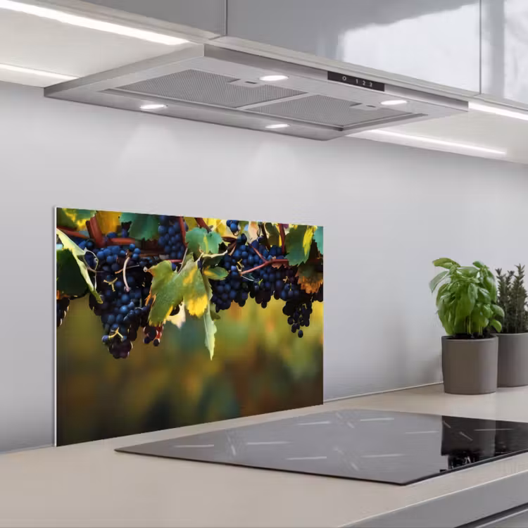 Spatscherm keuken - Druiven - Wijn - Natuur - Groen — 4