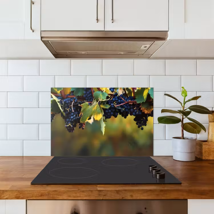 Spatscherm keuken - Druiven - Wijn - Natuur - Groen — 5