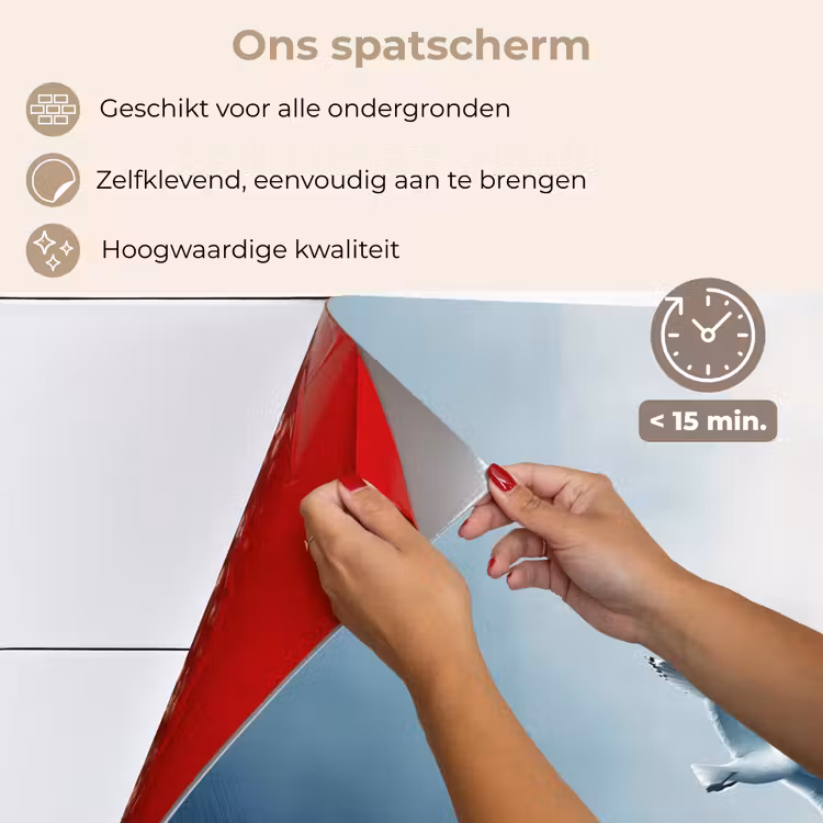 Spatscherm keuken - Meeuw - Wit - Zee - Mistig — 4
